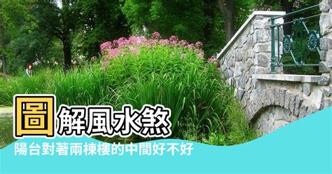 中間房子風水|【風水 兩排樓中間】圖解風水煞 